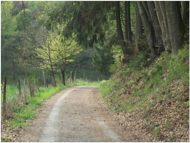 „Where He leads me I will follow, I'll go with Him, with Him all the way!“