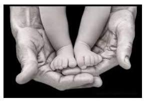 Baby held by adult hands