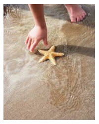 Starfish