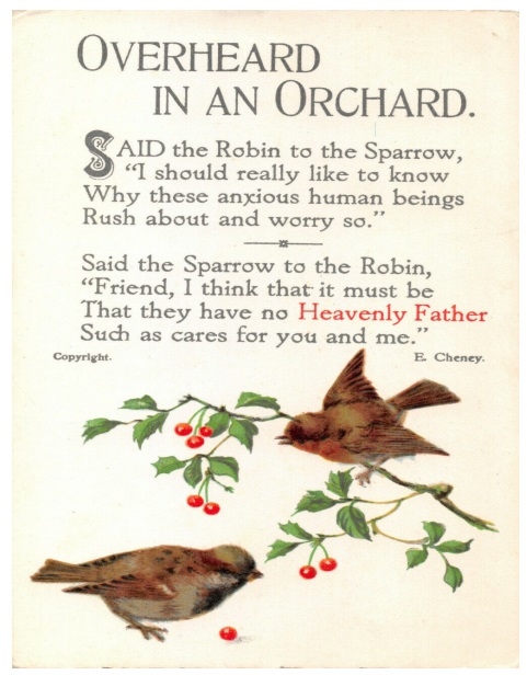 Overheard in an orchard