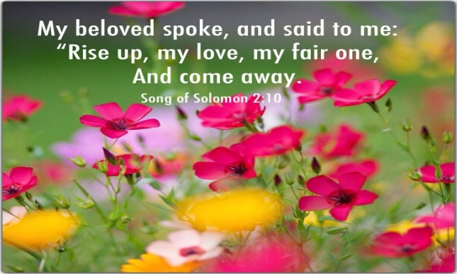 Song of Solomon 2:10