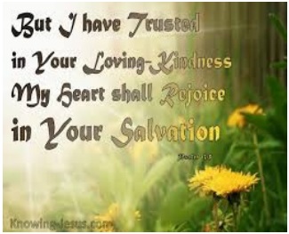 Sunlit field of flowers