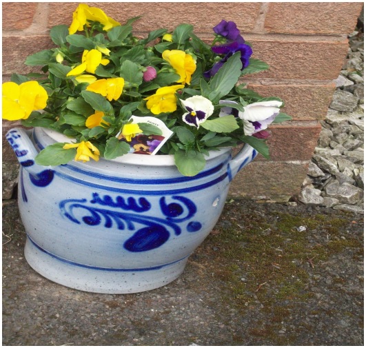 Yellow flowers in a pot