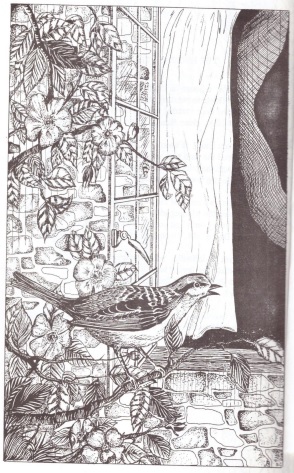 Hand drawn picture of bird singing