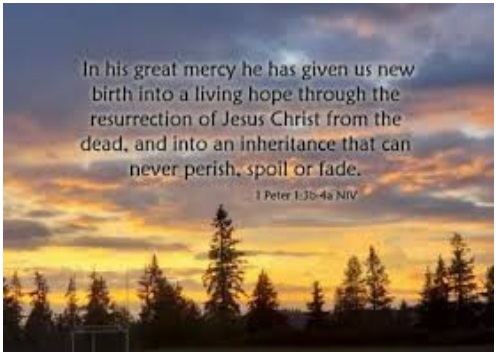 In his great mercy he has given us new birth into a living hope through the resurrection of Jesus Christ from the dead, and into an inheritance that can never perish, spoil or fade. 1 Peter 1:3b-4a NIV