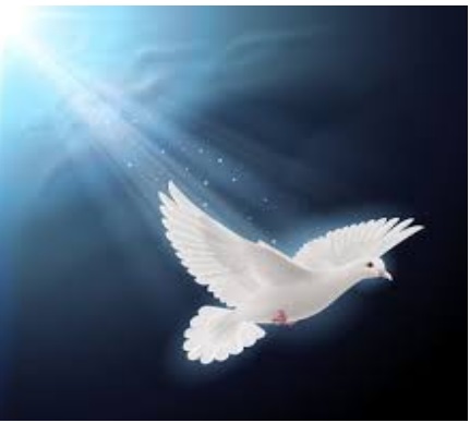 Holy dove flying against a dark blue sky